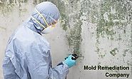What's The Difference Between Mold Removal And Mold Remediation