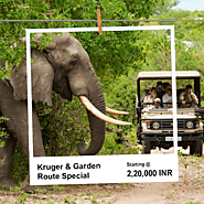 Kruger National Park Safari: Fascinating Haven for Wildlife and Nature Lovers - Air Organisers