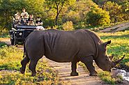 Sight the Big 5 at Kruger National Park in South Africa - Tour Travel Holiday Packages for South Africa