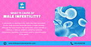 What Is The Cause Of Male Infertility ?