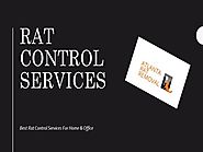 Rat Control Atlanta - Rat Removal Atlanta
