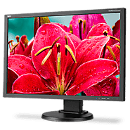 Product: NEC E245WMi-BK 24 in. Widescreen Desktop Monitor w/ IPS Panel