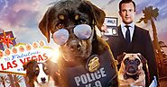 Show Dogs 2018 Movie Download MKV Full HD MP4