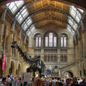 Families and Dinosaurs - Visiting the London Museum of Natural History | Family Vacation Plans
