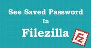 How to See Saved Password in Filezilla