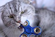 Are Fidget Spinners Dangerous? What Parents Should Know -