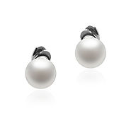5-6mm AAA Quality Freshwater Cultured Pearl Earring Pair in Aria White for Sale | Pearls Only