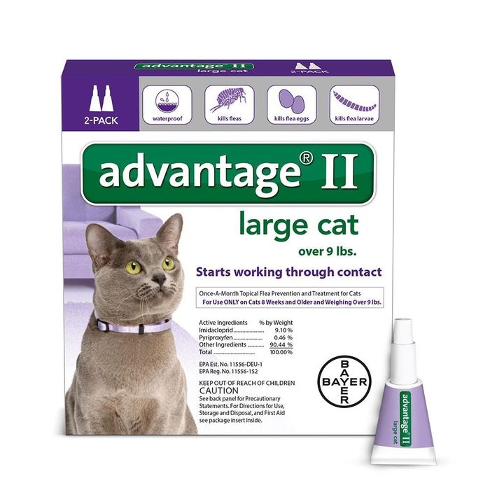 Top 10 Best Flea Treatments for Cats Reviews 20182019 A Listly List