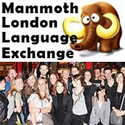 Mammoth London Language Exchange