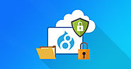 Top 8 Aspects Of Drupal That Make It The Most Secure CMS