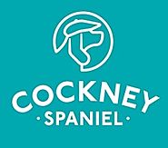 Buy Men and Women Humorous Socks Online | Cockney Spaniel