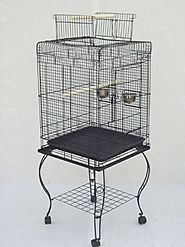 Best Inexpensive Parrot Cages 2015 | A Listly List