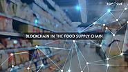 Addressing the Pain Points of Food Industry using Blockchain in Food Supply Chain