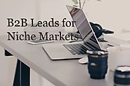 Website at https://www.egrabber.com/blog/b2b-list-building/generate-b2b-sales-leads/