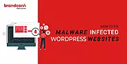 Ways to Protect Your Website from Malware with the Help of Developer
