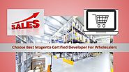Choose Best Magento Certified Developer For Wholesalers