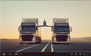 YouTube 2013: Füchse, Van Damme und Mozart-Rap