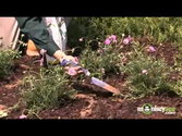 Gardening Resources :: National Gardening Association