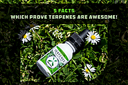5 Facts Which Prove Terpenes Are Awesome!
