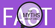 10 Myths Regarding CBD Busted!!