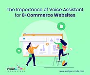 Importance of Voice Assistant for E-Commerce Websites