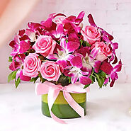 Buy Orchid and Roses Arrangement online - OyeGifts.com