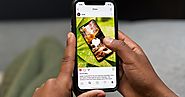 Instagram is letting users share posts directly to their stories - The Verge