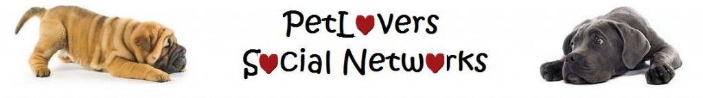Headline for Pet Lovers Social Networks