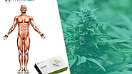 Know How Your Body Reacts to Cannabis with a Tool to Test