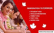 Immigration Consultants | Sync Visas - Sync Visas Reviews - Medium