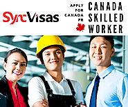 Sync visas reviews — Canada Immigration - Sync Visas - Medium