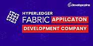 Hyperledger Fabric Apps Development Company - Developcoins