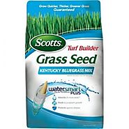 Scotts Turf Builder Grass Seed – Kentucky Bluegrass Mix
