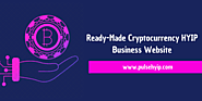 Profitable Cryptocurrency HYIP Business Website Script for Startup Entrepreneur