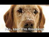 It's Freezing! ESL Vocabulary Grammar Rap Song with Fluency MC!