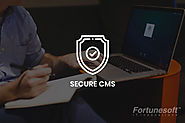 Ways to Secure CMS Websites - Fortunesoftit
