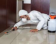 Pest Control Services In Gurgaon