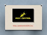 Choosing your Reliable Pest Control Service in Gurgaon by Pest Control - Issuu
