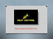 PPT - Choosing your Reliable Pest Control Service in Gurgaon PowerPoint Presentation - ID:8199350