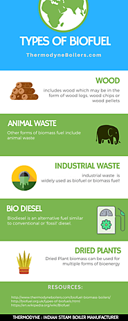 Types of Biofuel or Biomass Fuel