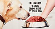 Top 5 Reasons To Avoid Giving Raw Meat To Your Dog