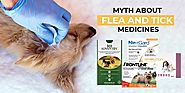 Common Flea and Tick Medicine Myths Busted!