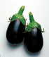 Eggplant, Black King