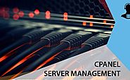 Learn more about Server management system of cPanel