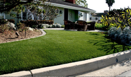 Austin Synthetic Grass
