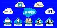 Salesforce Users email lists