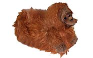 Buy $18 Orangutan Animal Slippers