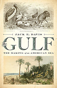 The Gulf: The Making of an American Sea, by Jack E. Davis