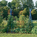 Organic Gardening for Beginners: Organic Gardening