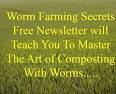 Worm Farming Secrets
